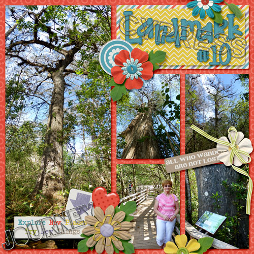 Corkscrew Swamp