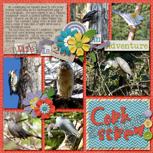 Corkscrew Swamp