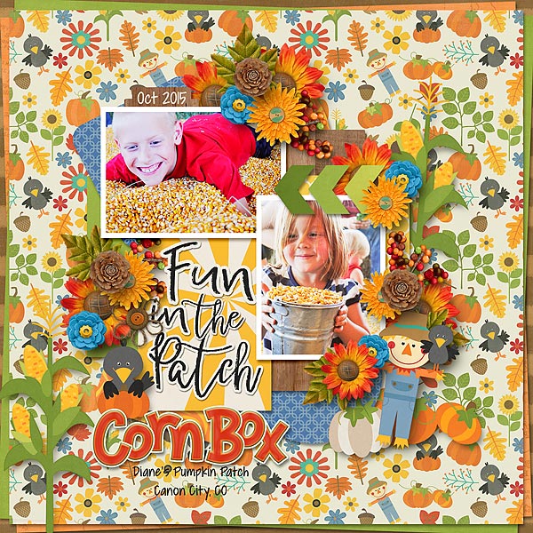 corn box