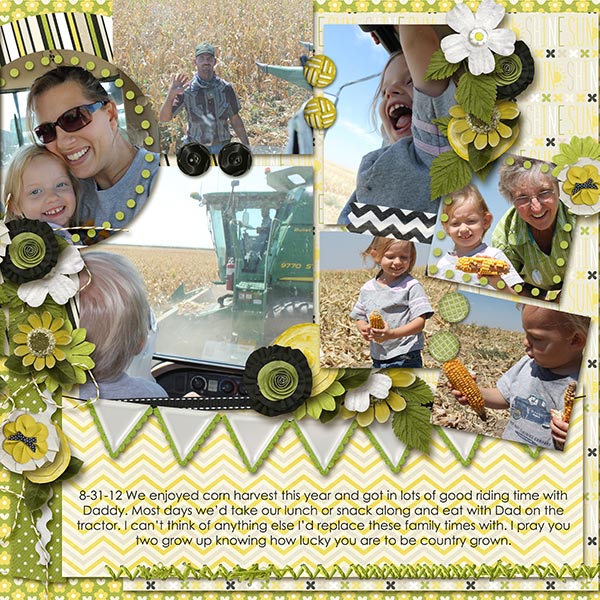 Corn Harvest