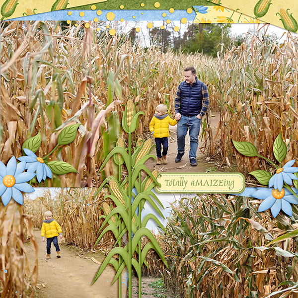 Corn Maize