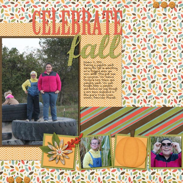 Corn Maze 2015