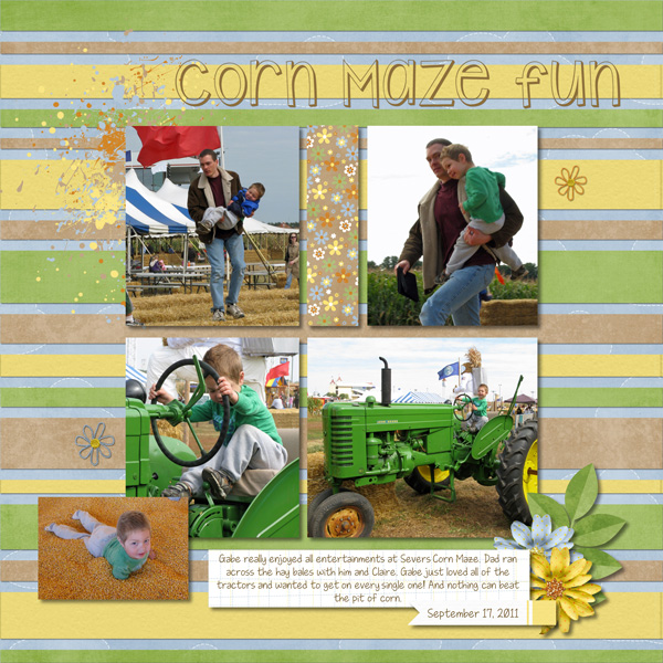 Corn Maze Fun