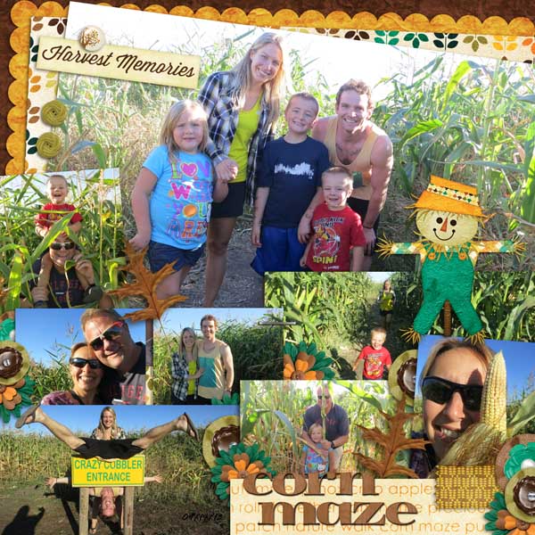 Corn Maze