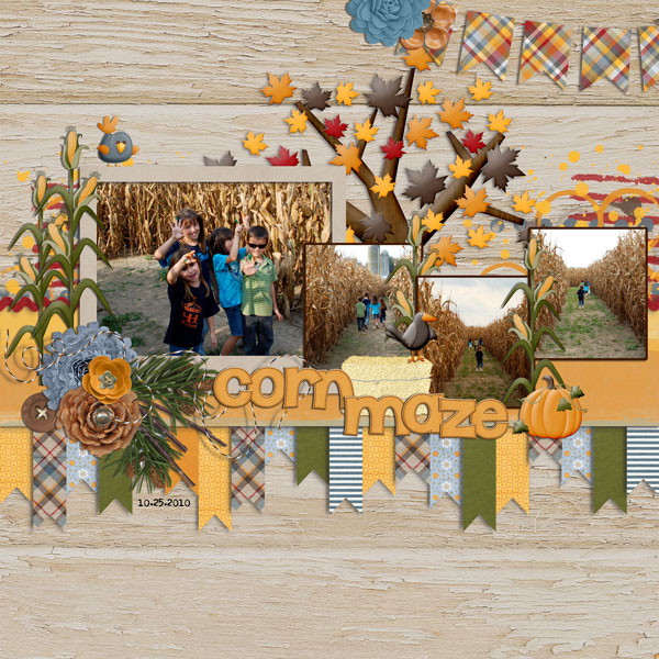 corn maze