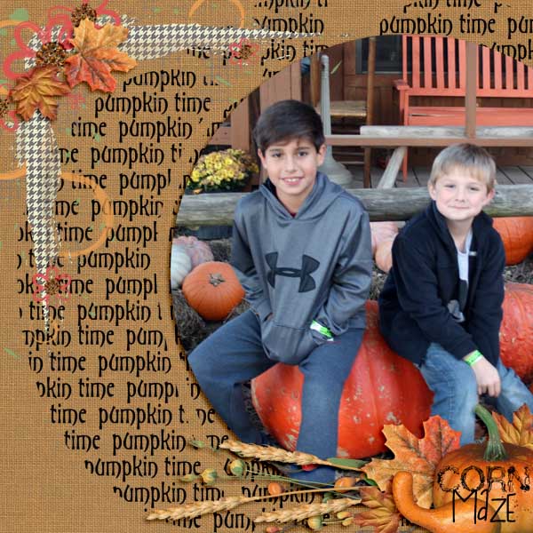 Corn Maze
