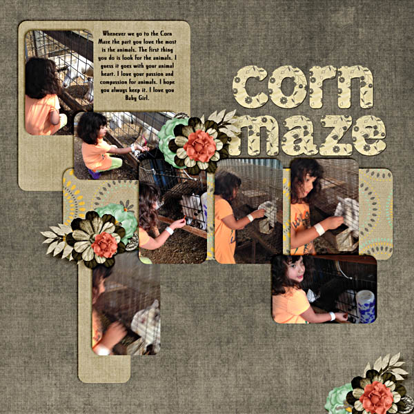 Corn Maze
