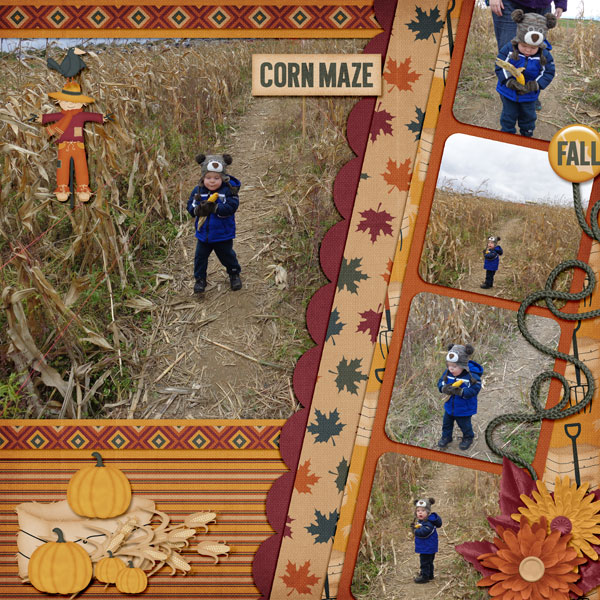 Corn Maze