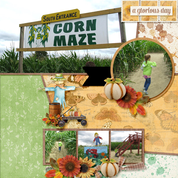 Corn Maze
