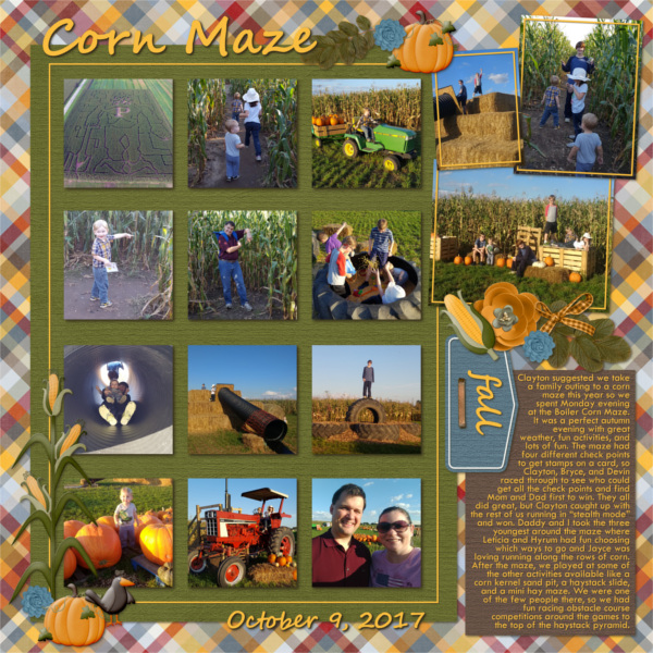 Corn Maze