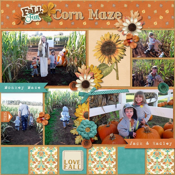 Corn Maze