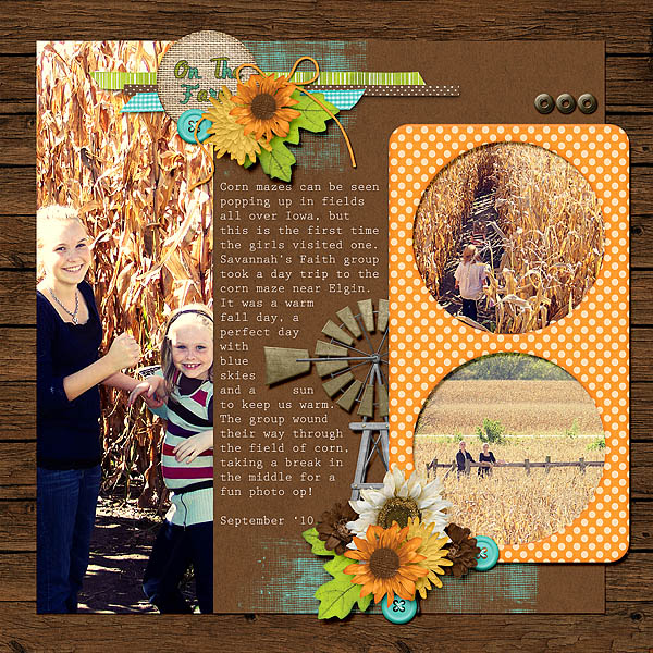 Corn Maze