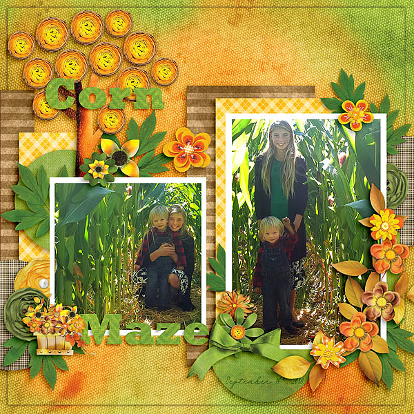 Corn Maze
