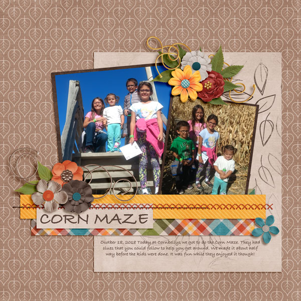 Corn Maze