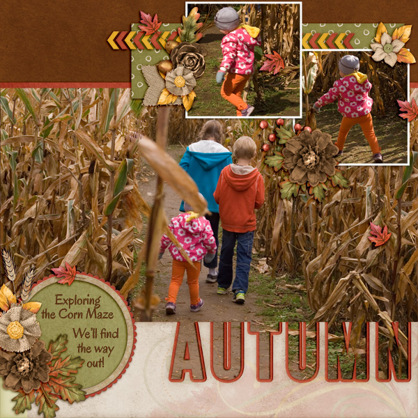 Corn Maze