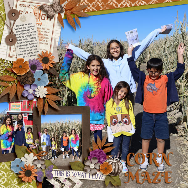 Corn Maze