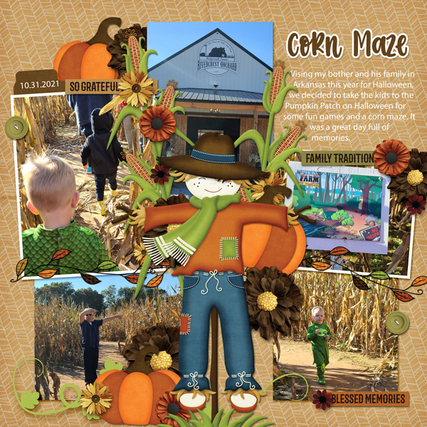Corn Maze