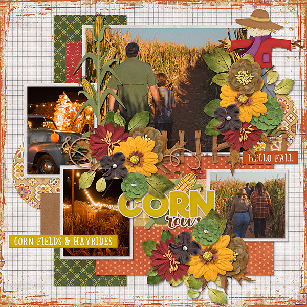 Corn Maze