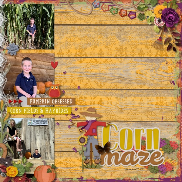 Corn Maze