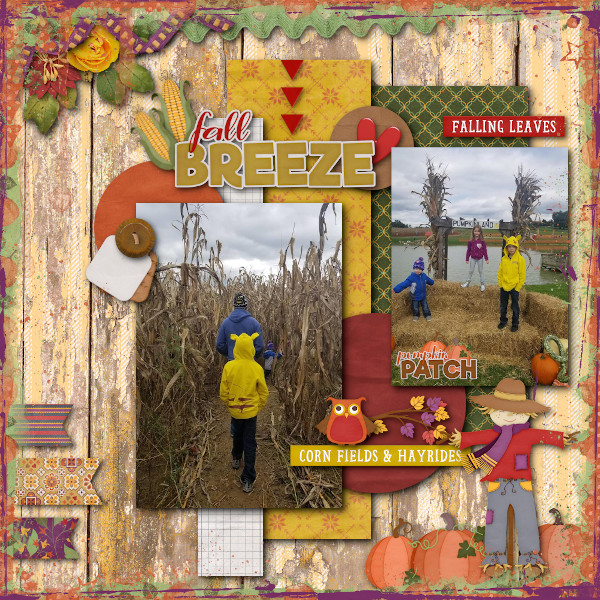 Corn Maze