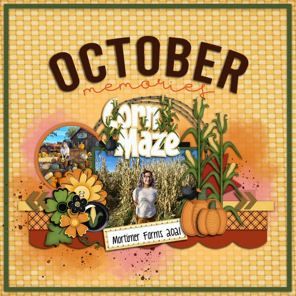 Corn Maze
