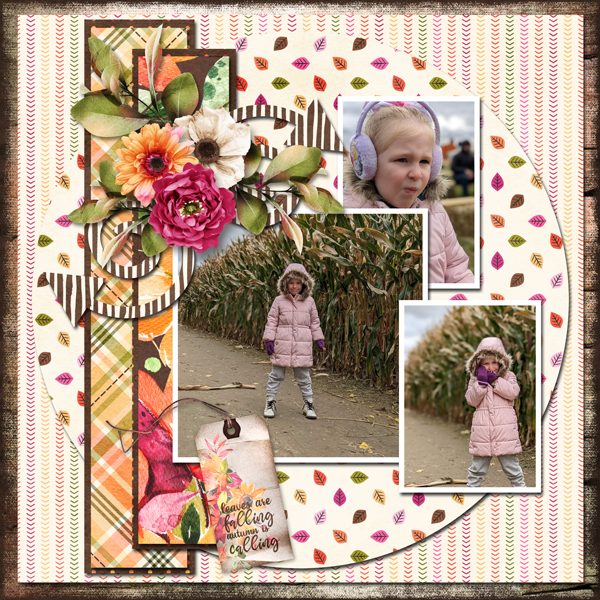 Corn maze