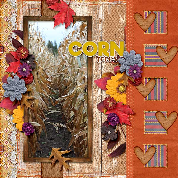 Corn Rows