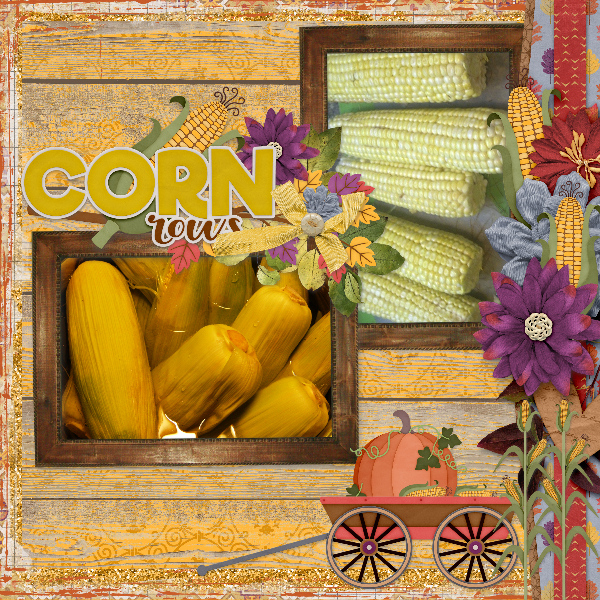 Corn4