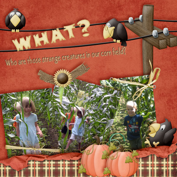 Cornfield Antics