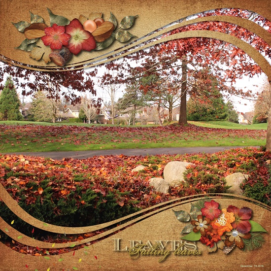 Cornucopia of Thanks