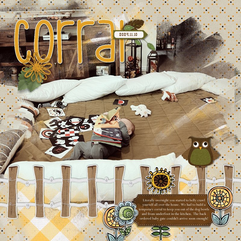 Corral.jpg