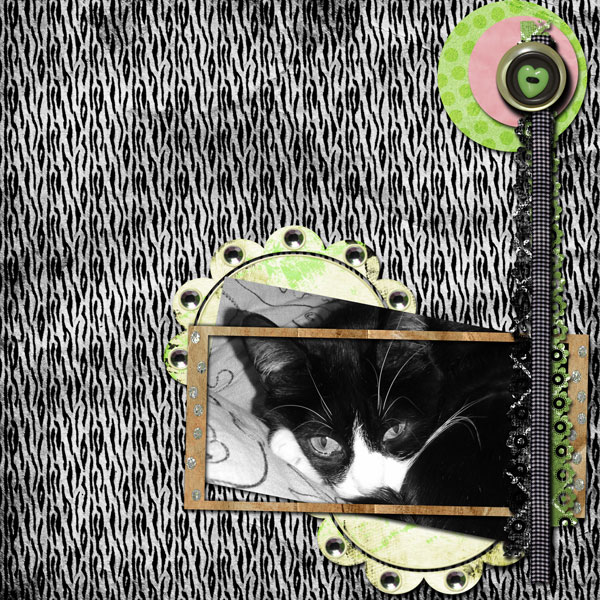 Cosita
