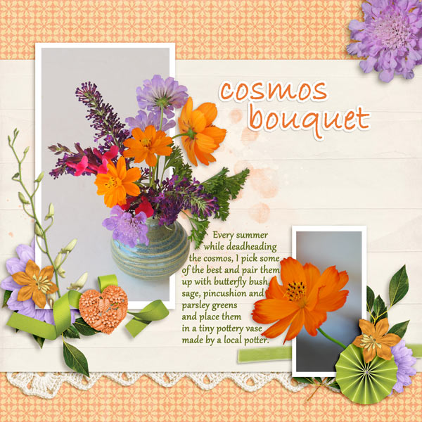 cosmos bouquet