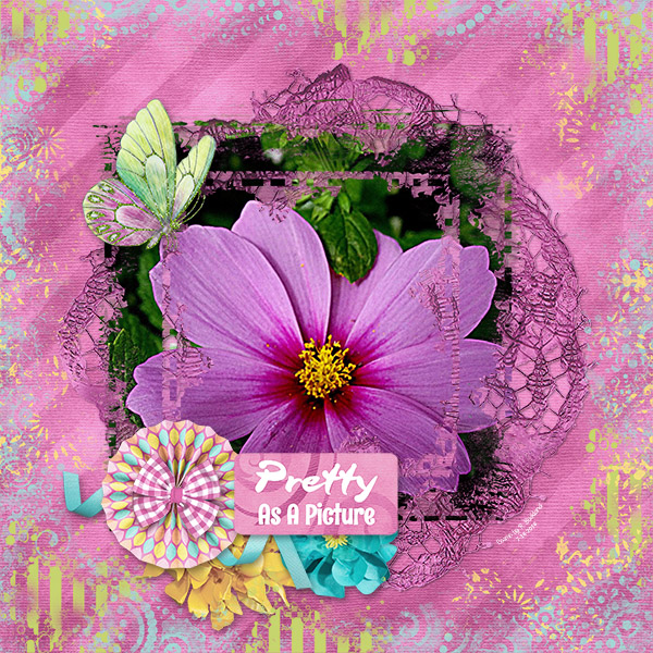 Cosmos By RB