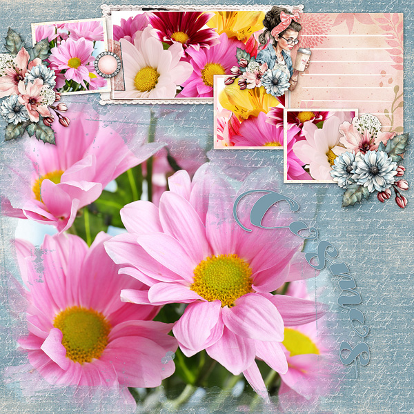 Cosmos Flowers