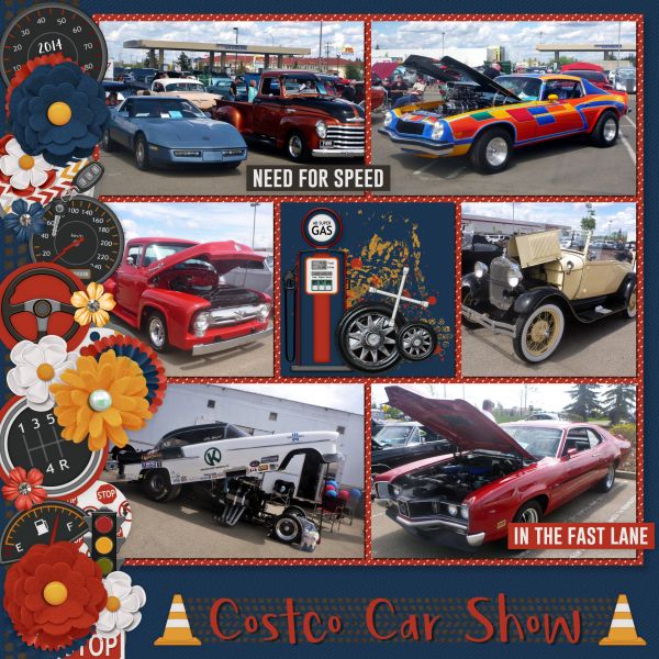 Costco Car Show 2014
