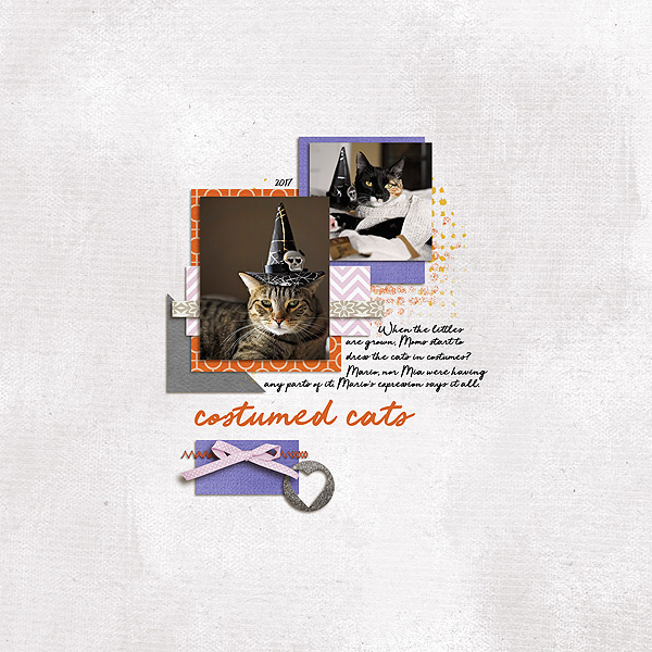 Costumed Cats