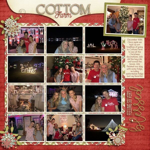 Cottom Farm 2018