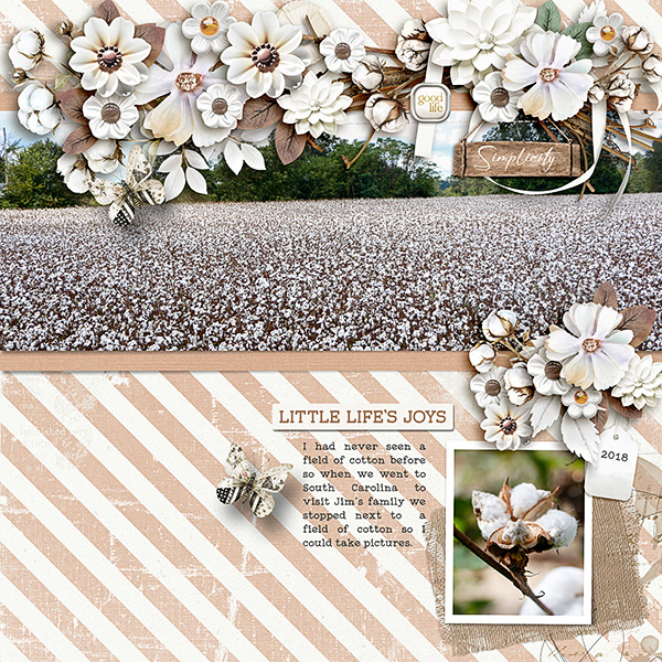 Cotton