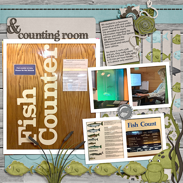 + counting room
