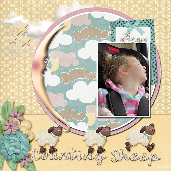 Counting Sheep