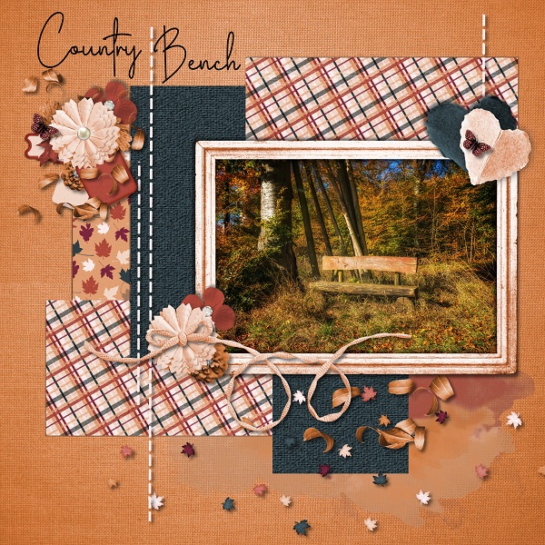 Country Bench