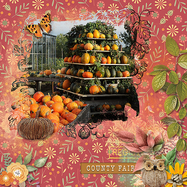 Country Fair