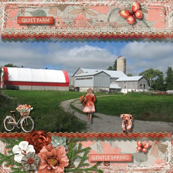 Country Farm