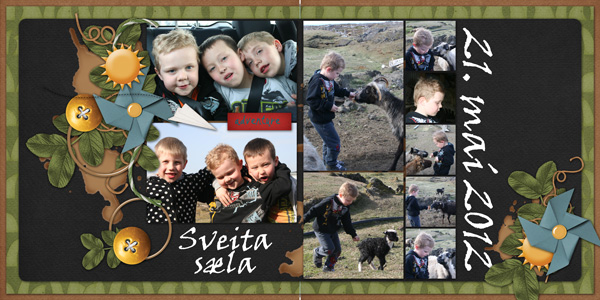 Country fun