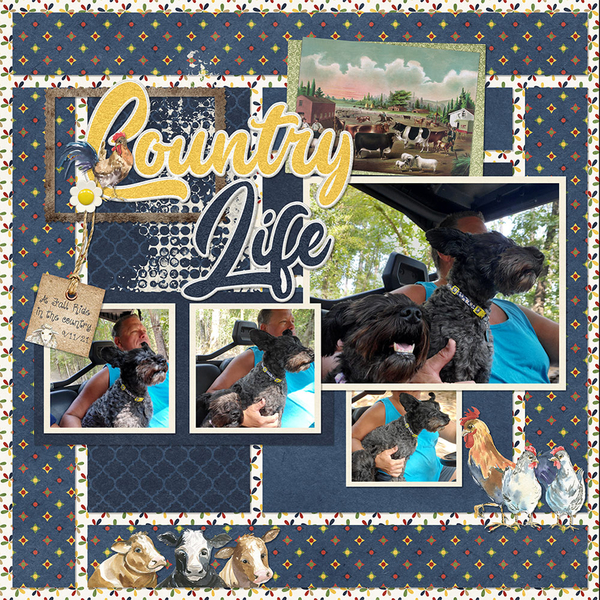 Country Life Kit Connie Prince