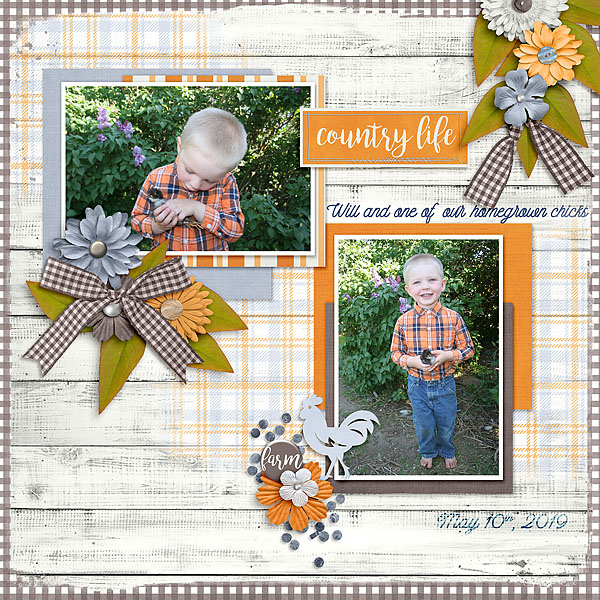 Country Life