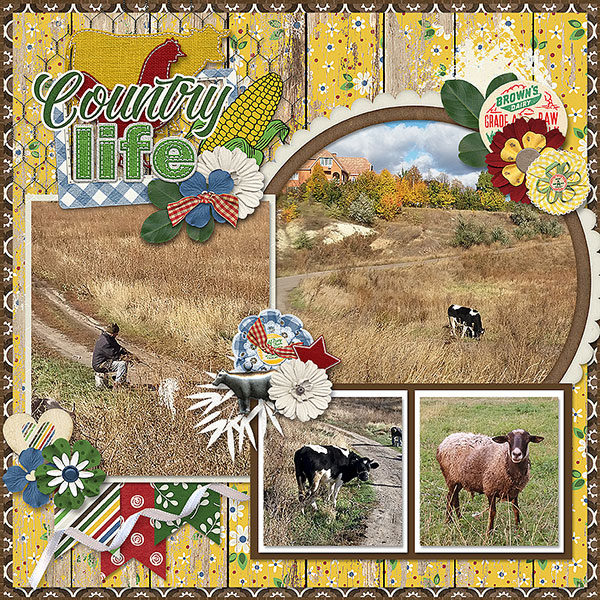 Country Life