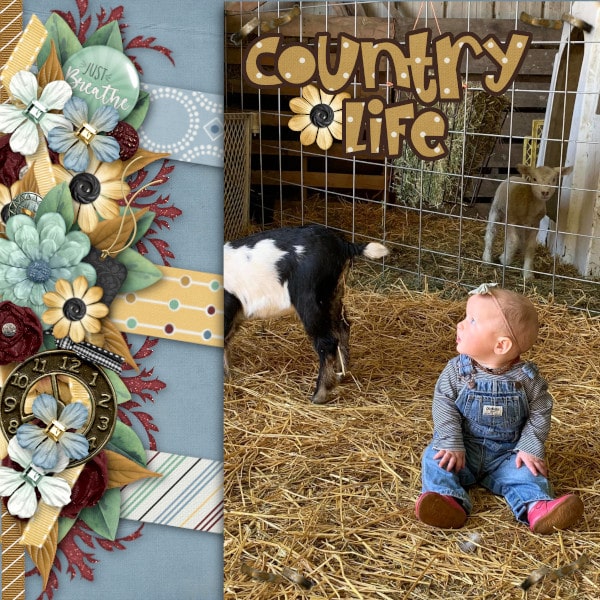 Country Life