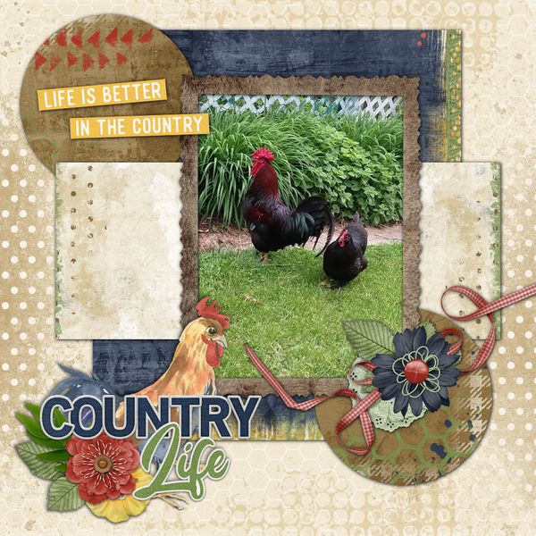 Country Life
